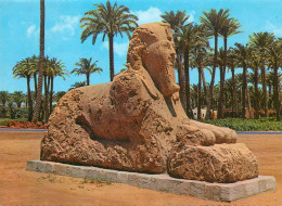 Egypt Memphis The Alabaster Sphinx 18th Dynasty - Sonstige & Ohne Zuordnung