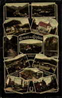 CPA Oybin In Der Oberlausitz, Burgtor, Hausgrund, Bahnhof, Restaurant, Museum - Sonstige & Ohne Zuordnung
