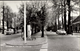 CPA Oisterwijk Nordbrabant Niederlande, Lind Met Trouwlaantje - Sonstige & Ohne Zuordnung