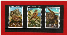 GIBRALTAR - 2010 - N°1395/1397 - TIMBRES NEUFS ** - MNH - OISEAUX - Gibraltar