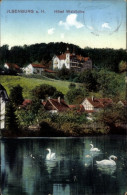 CPA Ilsenburg Im Harz, Hotel Waldhöhe, Schwäne - Sonstige & Ohne Zuordnung