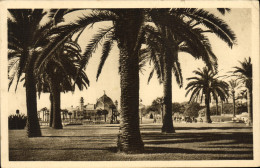 CPA Nice Le Jetee Vue A Travers Les Palmiers - Sonstige & Ohne Zuordnung