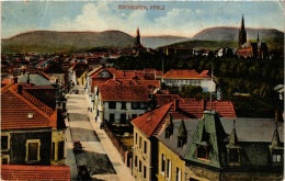 CPA Edenkoben GERMANY (898736) - Edenkoben