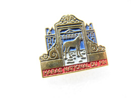 PIN'S  HARAS NATIONAL DU PIN  CHEVAL - Animals