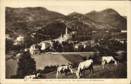 CPA Lourdes Vue Sur La Basilique Et Les Montagnes Environnantes - Lourdes