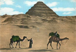 CPM Sakkara The Steps Pyramid - Altri & Non Classificati