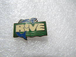 PIN'S    RIVE  POISSON   Email Grand Feu - Animals