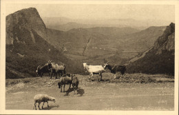 CPA Chevre Environs Du Mont Dore Vallee De La Sioule Et Les Roches Sanadoire Et Tuiliere - Sonstige & Ohne Zuordnung