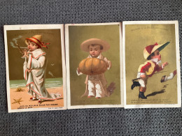 3 CHROMOS Maison De La BELLE JADINIERE  Enfants  (1) - Sonstige & Ohne Zuordnung