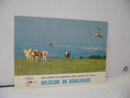 LES  VACHES NE REGARDENT PLUS PASSER LES TRAIS HELICLUB DU BEAUJOLAIS AEROPORT VILLEFRANCHE FRONTENAS CPM - Cows