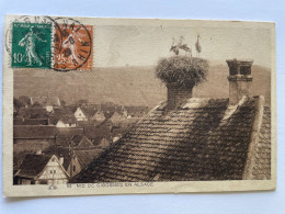 CPA - 67 - BAS RHIN - NID DE CIGOGNES EN ALSACE - Other & Unclassified