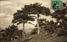 CPA Foret - Sonstige & Ohne Zuordnung