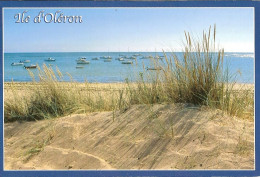 CPM - CHARENTE MARITIME - ILE D'OLERON - PLAGE OCEANE ET DUNES PLANTEES D'OYATS - Ile D'Oléron
