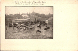 (*01/05/25) 27-CPA ORGEVILLE - Sonstige & Ohne Zuordnung