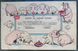 Xavier SAGER - COCHON - Brevet De Parfait Cochon. Non Circulée - Sager, Xavier