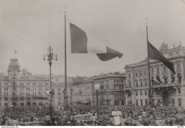 CARTOLINA TRIESTE 1954 L.10 AMG-FTT (YK2976 - Marcophilia