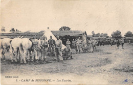 AISNE  02  CAMP DE SISSONNE - LES ECURIES - MILITARIA - Sissonne