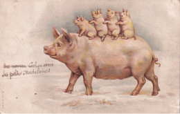 COCHON(ILLUSTRATEUR) - Varkens