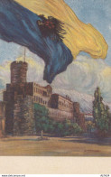 CARTOLINA TRENTO ILL MAZZONI (YK1470 - Sonstige & Ohne Zuordnung