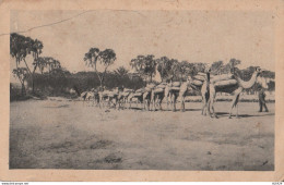 CARTOLINA 1935 COLONIA ERITREA COLONIE ITALIANE (YK1244 - Eritrea