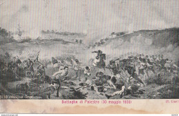 CARTOLINA BATTAGLIA DI PALESTRO (YK1239 - Andere Kriege