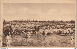 CARTOLINA ERITREA COLONIE ITALIANE--C.30+1 (YK1747 - Eritrea