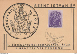 CARTOLINA POSTALE UNGHERIA 1938 TIMBRO BUDAPEST (YK2249 - Briefe U. Dokumente