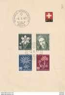 FOGLIETTO 1947 CON SERIE PRO JUVENTUTE 1946 SVIZZERA (YK2202 - Gebraucht