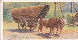 9 CEYLON BULLOCK CART - MODES OF CONVEYANCE 1930 - WILLS OVERSEAS ISSUE CARD  -  3X7CMS - - Other Brands