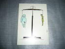 1 Carte Postale UNGERER - Ungerer