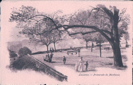 Lausanne VD, Promenade De Montbenon (2941) - Lausanne