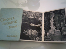 Pieghevole A Soffietto "GROTTA GIGANTE TRIESTE RICORDO" Società Alpina Delle Giulie, Club Alpino Italiano Anni 1950 - Dépliants Turistici