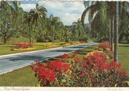 JA Kingston, The Royal Botanical Gardens At Hope Gl1974 #G3698 - Sonstige & Ohne Zuordnung