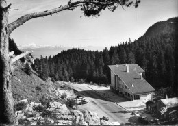 01 _ COL - DE - LA - FAUCILLE  ,  Le Sommet Du Col Et Panorama Sur Le MONT - BLANC .cpsm  10,5 X 15 . - Ohne Zuordnung