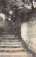 L240 England The Steps Between Seaton And Beer Stairs Vintage Postcard - Altri & Non Classificati