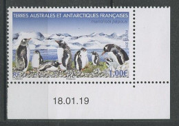 TAAF 2019  N° 908 ** Neuf MNH Superbe Faune Oiseaux Bird Manchots  Papous Animaux - Ungebraucht