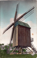 59 -   MONT CASSEL - Le Moulin Erigé Sur L'emplacement De L Ancien Kastel Meulen - Cassel
