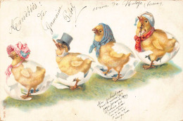 L110 Easter Greetings 1901 France Humanized Chickens Litho Postcard - Sonstige & Ohne Zuordnung