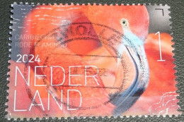 Nederland - NVPH - 4168 - 2024 - Gebruikt - Used - Beleef De Natuur - Caribische Rode Flamengo - Oblitérés