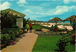 CPM Divi Divi Beach Hotel ARUBA (750310) - Aruba