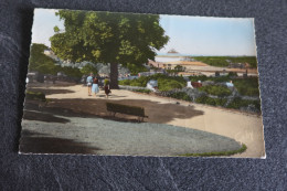CPSM - AVRANCHES (50) - Le Jardin Des Plantes - La Baie Du Mont St Michel - Avranches