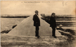 CPA Les SABLES-d'OLONNE Les Tas De Sel (394042) - Sables D'Olonne