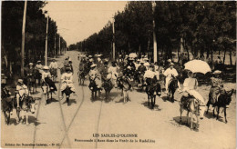 CPA Les SABLES-d'OLONNE Promenade A Anes Dans La Foret De La Rudeliere (394043) - Sables D'Olonne
