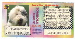 MAGIC RAFFLE LOTTERY TICKET, DOG, No 04-13451806-005,  ROMANIA - Lottery Tickets