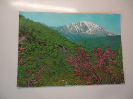 GREECE   PHOTO ΔΑΣΟΣ MOUNTAIN - Griechenland