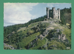 15 Château D' Alleuze - Sonstige & Ohne Zuordnung