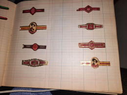 8 Sigarenbanden - Bague De Cigares Gulden Vlies - Cigar Bands