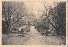 Julot1939 ... BERTRIX ..-- Les JARDINS De La MAISON De RETRAITE .à BOHEMONT . - Bertrix