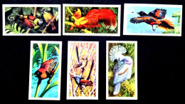 UK.GB ENGLAND 1960,SMALL CARD, TROPICAL BIRD, 6 DIFFERENT, ISSUE BY BROOKE BOND TEA. - Covers & Documents