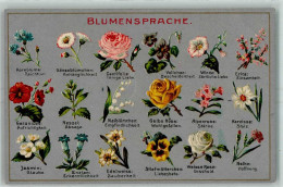 52283784 - Kornblume Gaensebluemchen Erica Geranium Jasmin Enzian Edelweiss Stiefmuetterchen - Blumen